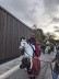 St. Martin auf einem weißen Pferd, ein kleines schwarzes Pony daneben auf dem Schulgelände
