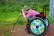 Mädchen im Rollstuhl sammelt Müll mit einer Greifzange