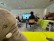 Schüler:innen sitzen vor einer digitalen Tafel, auf der ein Bilderbuchkino gezeigt wird. Im Vordergrund ein Kuscheltier