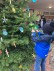 Tannenbaum auf dem Schulhof mit selbstgebastelten Christbaumkugeln und Sternen aus Wäscheklammern