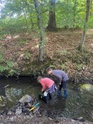 Zwei Schüler:innen stehen in einem Bach in einem Wald und schauen ins Wasser.